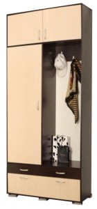  Шкаф комбинированный Кармен-5